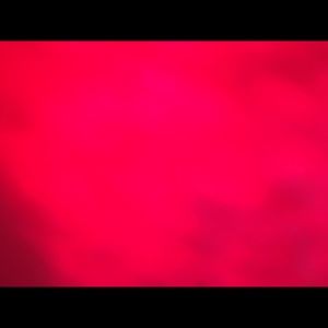 Meet your Posher, Brigitte